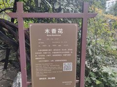 -重庆抗战遗址博物馆