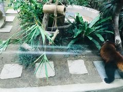 -石排湾郊野公园