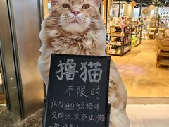 -藏猫猫咖啡主题馆(中央大道店)