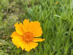 -白鹭湾湿地公园