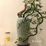 新店|发现一家低调的日系治愈感咖啡馆