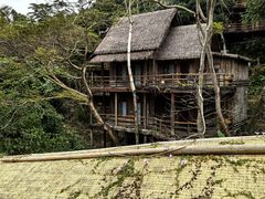 -海南槟榔谷黎苗文化旅游区