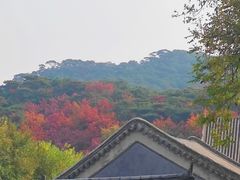 -红螺寺