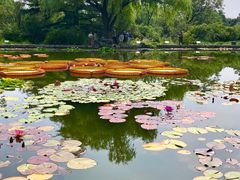 -国家植物园南园