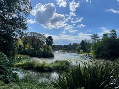 -墨尔本皇家植物园