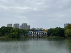 -新洲生态园