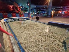 -青岛嘉年华主题乐园