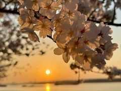 -幕燕滨江·燕子矶公园