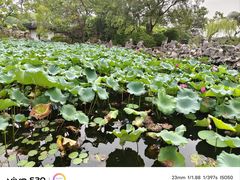 -无锡蠡湖国家湿地公园-蠡园