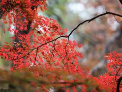 -虎丘山风景名胜区