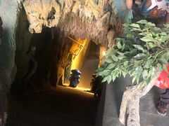 -东方巨龟苑景区