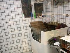 -袖虎宠物·金渐层缅因猫舍(灵芝店)