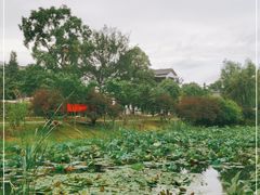 -石塘人家