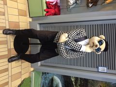 泰迪熊博物馆-济州岛泰迪熊博物馆