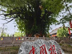 -大槐树寻根祭祖园