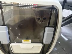 -宠颐生动物医院·小陆分院