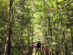 -青峰峡国家森林公园