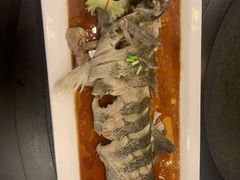 -浩运海鲜·16年专注青岛菜(石老人店)