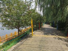 -长白岛森林公园