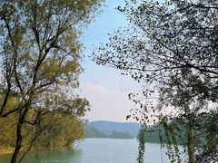 -桤木河湿地公园