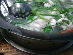-鸭嘴鱼