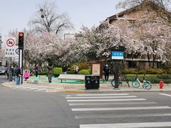 -天津五大道文化旅游区