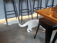 -古耳咖啡(北锣店)