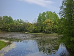 -上海海湾国家森林公园