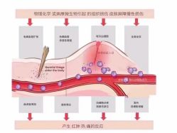 点击看大图 -E.beauty驻颜·痘敏肌调理中心