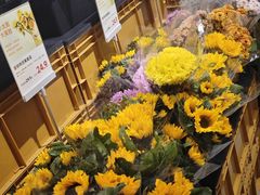 -鹿岛生活(熙地港店)