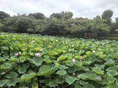 -鹤冈八幡宫