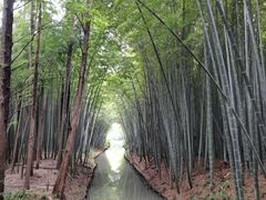 -同里国家湿地公园