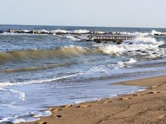 -小巴塞罗那海滩