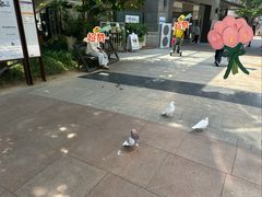 -中粮·祥云小镇