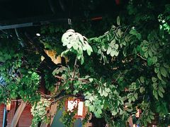 -佬麻雀·剁椒鱼头(京基KK One店)