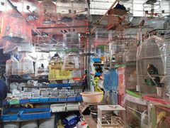 -万商花鸟市场