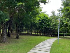 -深圳湾公园(南山区)