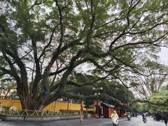 -桂林独秀峰王城景区