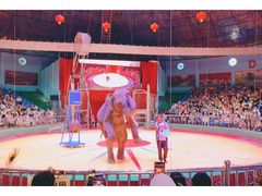 -西安秦岭野生动物园