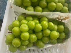 -马陆小张葡萄园农家乐