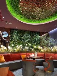 -花隐·美芙炫海菲秀皮肤管理中心