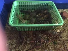 -灯笼馆海鲜餐厅