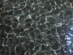 -金穗园温泉酒店