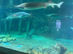 -华夏文旅海洋公园