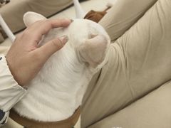 -怪兽屋·羊驼·猫咖·狗咖(俊华广场店)