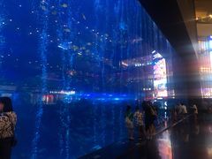 -成都浩海立方海洋公园