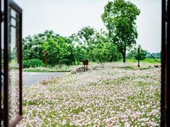 -良渚古城遗址公园