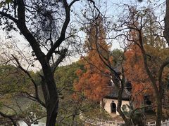 -汇龙潭