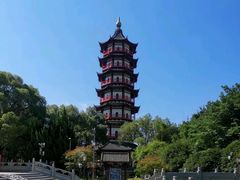 -绳金塔