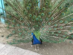 -水上乐园·欢乐世界